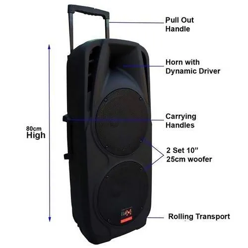 25cm Portable PA Sound System Speaker with 2 Microphones